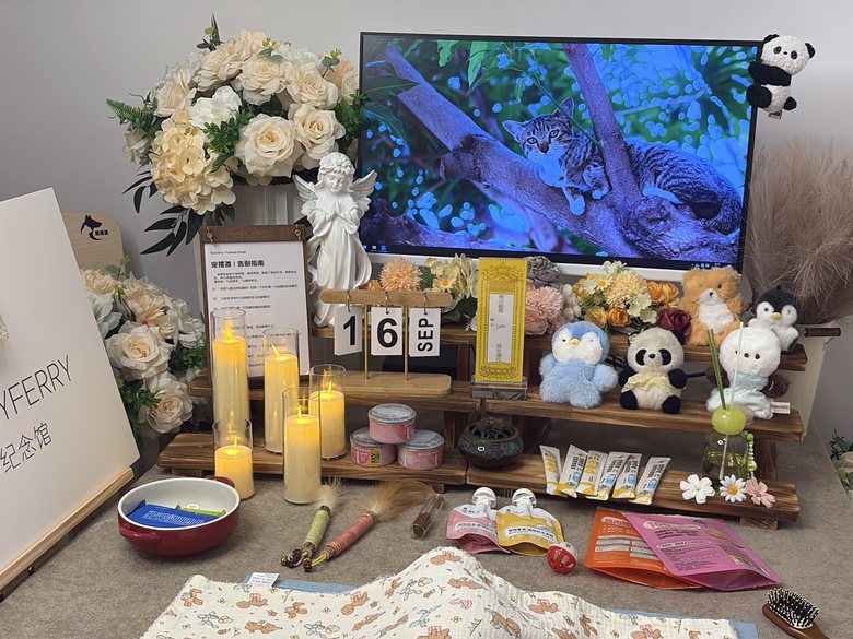 宠物爪印留念与纪念品定制